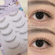 Low Lower Eyelashes Thick Light Thai Transparent Terrier Mom Realistic False Eyelashes Air Makeup m1