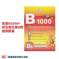 素食綜合維生素B群 能量B1000+ 植物膠囊一盒60顆 全素 維生素D3 維生素C 素食B群