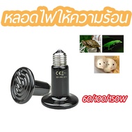 ไฟกกสัตว์ Ceramic lamp หลอดไฟเซรามิคอินฟาเรดให้ความร้อน หลอดไฟกกสัตว์ ไม่มีแสง ให้ความอบอุ่นสำหรับนก