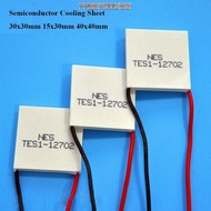 FREEWOODIEGI Semiconductor Cooling Sheet, 15x30mm 40x40mm Refrigeration Plate, High Quality TES1-127