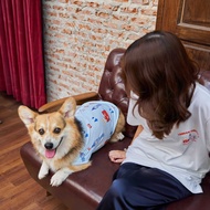 Midnight Layer - Around the World Collection - เสื้อยืด Pawrent (ENGLAND)