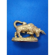 Luang Phor Kalong 神牛聖物，龙婆卡隆 #泰旺佛宝