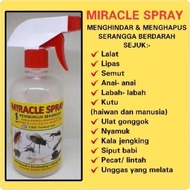 【READY STOCK】MIRACLE SPRAY (Pembasmi serangga) hapuskan semut lipas pijat anai-anai kutu labah-labah