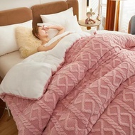 High-quality Thickened Winter Warm Bed Blanket Artificial Lamb Cashmere Weighted Blankets Thicker Wa