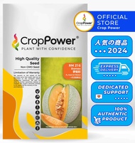 Hot Item🔥 (100 SEEDS) Biji Benih Rock Melon Romeo 萝蜜欧 RM216 CROP POWER F1 Hybrid Rock Melon Seeds RM 216