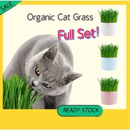 【Windmill】Cat Grass Seed Set  Wheatgrass Seed Eco-friendly Cat Grass Natural Healthy Cat Catnip Gras