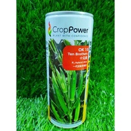 F1 HYBRID OKRA OK10 200G / BENIH BENDI  羊角豆/ CROP POWER