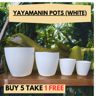 Luxury PearlWave Yayamanin Pots - White &amp; Black Pots for Plants | Paso sa halaman indoor outdoor small to Big Size
