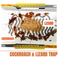 [Bundle Sales] [ New Packaging] ONS Lizard And Cockroach Trap/Lizard Repellent (Pest Control) Cockroach Trap Box Lizard