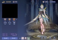 傳說對決 全英雄 463造型
