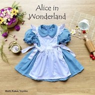 Alice in Wonderland costume Alice in Wonderland cosplay/ Alice in Wonderland/ Alice in Wonderland co