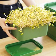 Primary plastic bean sprout growing tray, hydroponic sprout-free tray for the family, safe and clean