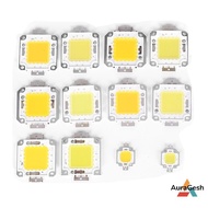 [AuraGesh] 1pc cob led light dc led bulb chip on board 10W 20W 30W 50W 70W 100W 2 colors New