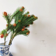 6 Heads Princess Nana Fruit Artificial Plants Pine Cones Pine Branch Material: Silk Cloth & Plastic 
