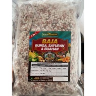 Baja Pokok Sayuran Berbuah Cili Terung Petola Tomata 1000gram⭐️⭐️⭐️⭐️⭐️