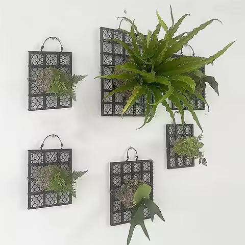 Black Thickened Staghorn Fern Board Dendrobium Plastic Planting Board Orchid Fern Plant Bed Board Ga