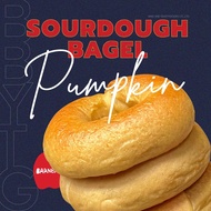 Sourdough Pumpkin Bagel (ขนมปังเบเกิลฟักทอง) มีราคาขายส่งสำหรับร้านค้า