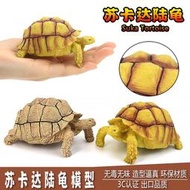 萬物園✨仿真實心陸龜模型玩具象龜蘇卡達烏龜大全星龜鱷龜擺件兒童禮物