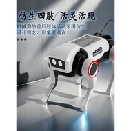 Electric Robot Dog Children's Toys Simulation Mechanical Dog's Light Assembly Robot Dog Boys Girls F