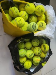 網球 ( Dunlop, Slazenger, Artengo, Teloon)