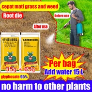 【3 days to eliminate grass and weed】 Racun rumput paling kuat cepat mati grass and weed killer The g