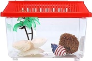 Hermit Crab Show and Tell Starter Pack, Kit with Terrarium, Palm Tree Water Dish, Painted Shells, and Sponge, 6.25" L x 3.5" W x 3.25" H