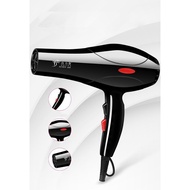 Large Capacity Deliya Stylized Hair Dryer 2200W