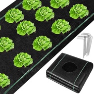 4 x 25 Ft Landscape Fabric Heavy DutyBarrier Fabric with Planting Holes Garden Ground Cover Fabric G