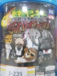 日本動物扭蛋高校篇 全新