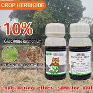 10% Glufosinate Ammonium Herbicide Fast Root-Safe Control for Orchard Tea Plantation Wasteland