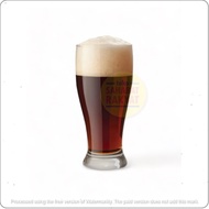 [1pcs] Citinova Berlin BW-51-17 480ml Glass Sling/ Glass Juice Glass