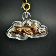 婆難登2564一期捨瀛小立尊(紅銅)