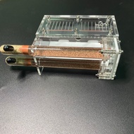 Ant Tank Bamboo Test Tube Ant Nest Imported Nourishing Tank