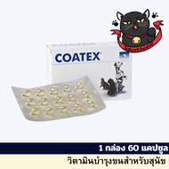 Coatex Dogs Cats Skin &amp; Coat 60 caps อาหารเสริม บำรุงเส้นขนและผิวหนัง แบบเม็ด สุนัข แมว บรรจุ 60 เม็ด จำนวน 1 กล่อง (Exp 03/2025)