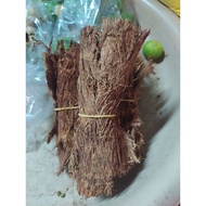 3 Bunches of Beluru Roots/ Sintok Roots