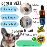 Sila Sediakan awal untuk merawat Luka sugar glider - cepat sembuh