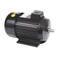 Golden Cat 58 Three-Phase Washing Machine Dedicated 3kg Watt Car Washing Machine Motor
