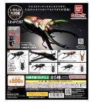 全新 Bandai 昆蟲大圖鑑 鍬形蟲 07 扭蛋 全5種 獨角仙