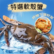 【好味市集】冷凍軟殼蟹-600G±10%(8隻)/盒