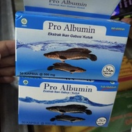 pro albumin ikan gabus
