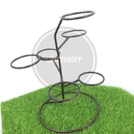 MINI POT CACTUS 🌵 ( 6POT )