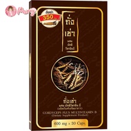 ถั่งเช่า มัลติ วิตามินบี Donutt Cordyceps Plus Multivitamin B 30 แคปซูล (1 กล่อง)