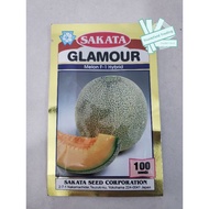 Benih Rock Melon Sakata Glamour (REPACK) buah cantik gred ladang 5 biji/10 biji/20 biji