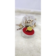 24k gold plated coin ring includes box