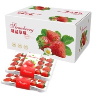 顶鲜佳四川大凉山草莓 红颜奶油草莓甜草莓礼盒装 大果单果25克+ 精选 大凉山草莓1盒【400克/盒】