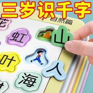 Baby Early Childhood Education Literacy Puzzle Chinese Characters Recognition Cognition Card 3-4 to 