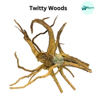 Tweety Wood | Drift Wood Aquascaping Small Medium Large XLarge per piece