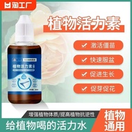 Welcome to Shop, All Ready Stock Like You Can Consult to Order Plant Vitality Literacy Flower Use hb