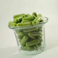 Moringga by KC Kapsul Moringga