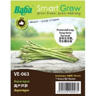 Baba Smart Grow Asparagus (Vegetable seed) 20seeds+- /pack - VE-063 高产芦笋